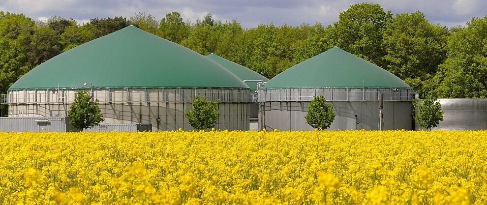 Biogasanlage mit Rapsfeld