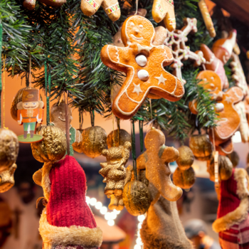 img_4489 - canva img_4489